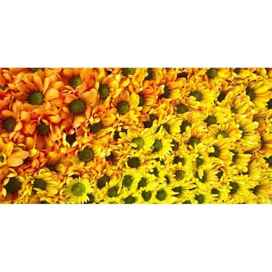 Dekor skleněný - žluté květy 30/60 Aqua Mercado