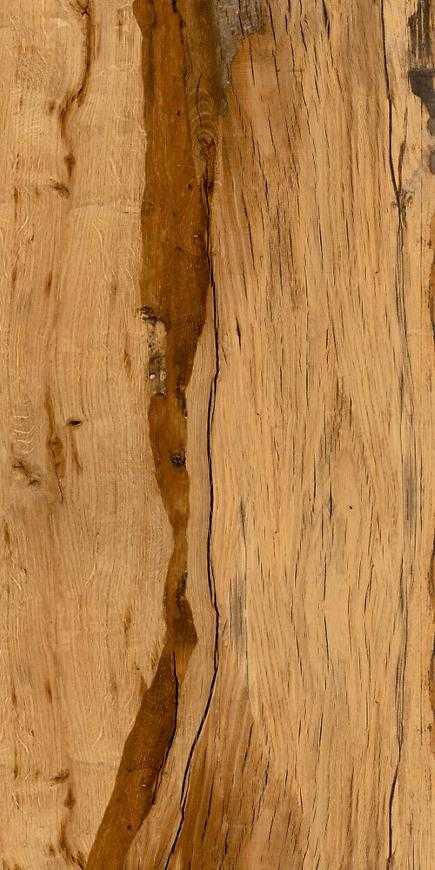Dlažba Burningwood HDR wood 60/120 Decovita