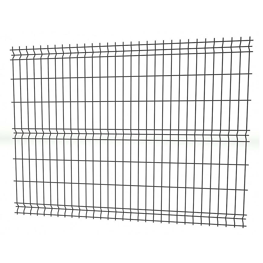 Panel 3D light II 250x123 cm – RAL 7016 Baumax