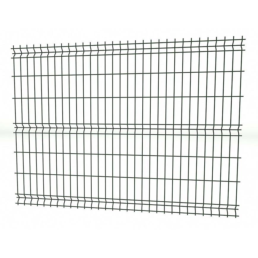 Panel 3D light II 250x153 cm – RAL 6005 Baumax