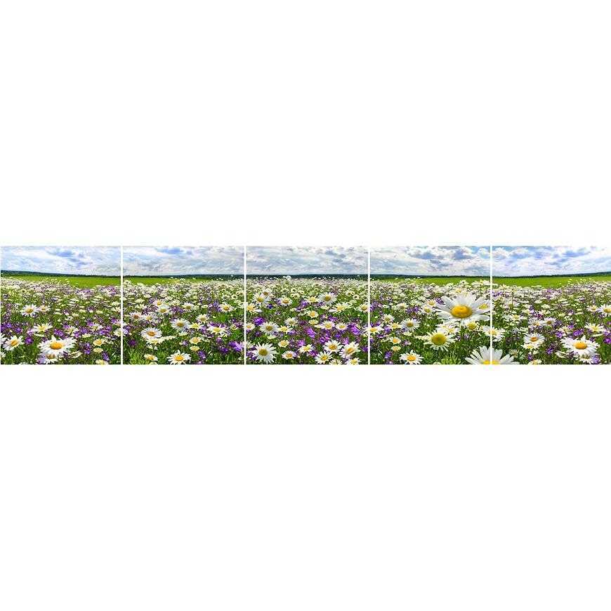 Skleněný panel 60/300 Flowers-3 5-Elem Merkury Market