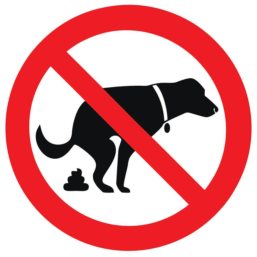 Zákaz venceni psu - samolepka 150x150 mm tl. 0.1 mm Baumax