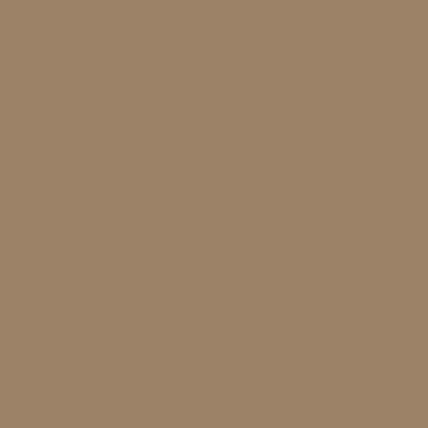 SilikonColor Baumit 5 l - odstín 0193 Baumit