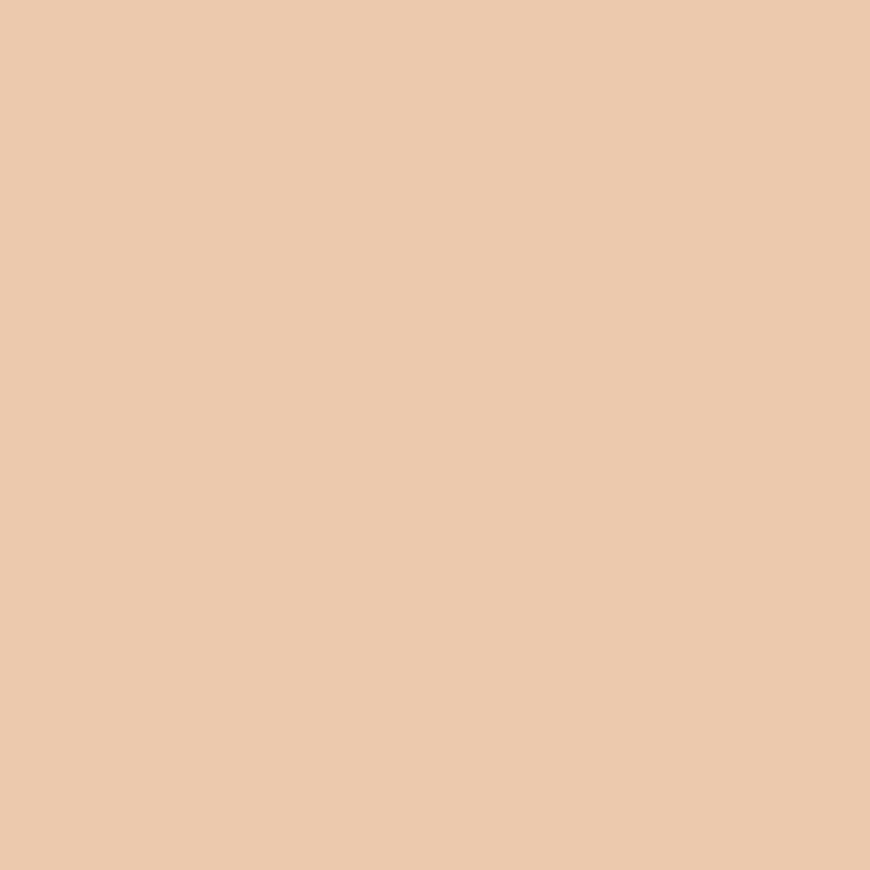 SilikonColor Baumit 5 l - odstín 0326 Baumit