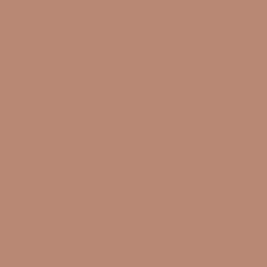 SilikonColor Baumit 5 l - odstín 0404 Baumit