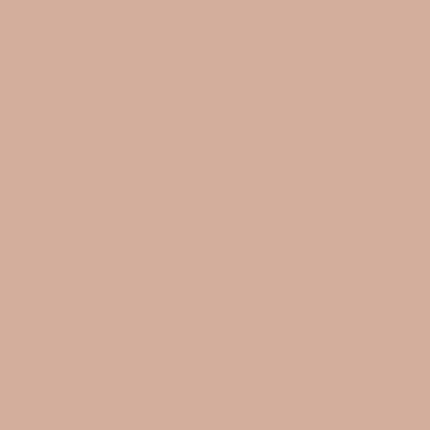 SilikonColor Baumit 5 l - odstín 0406 Baumit