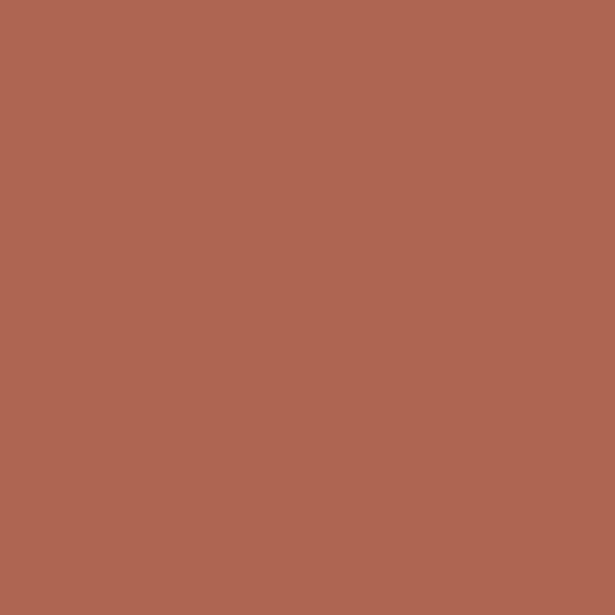 SilikonColor Baumit 5 l - odstín 0562 Baumit