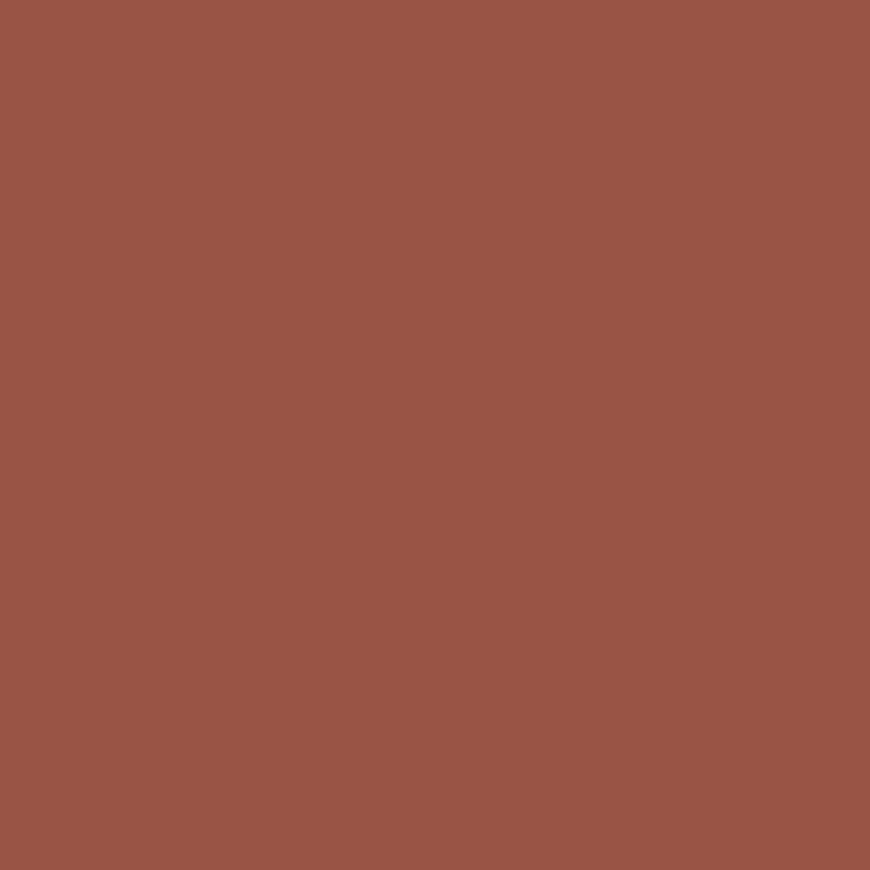 SilikonColor Baumit 5 l - odstín 0572 Baumit