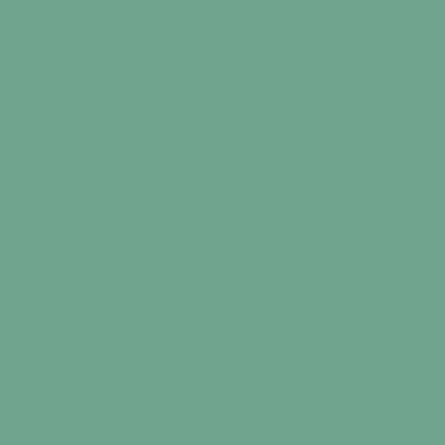 SilikonColor Baumit 5 l - odstín 1002 Baumit