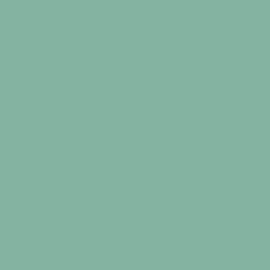 SilikonColor Baumit 5 l - odstín 1003 Baumit
