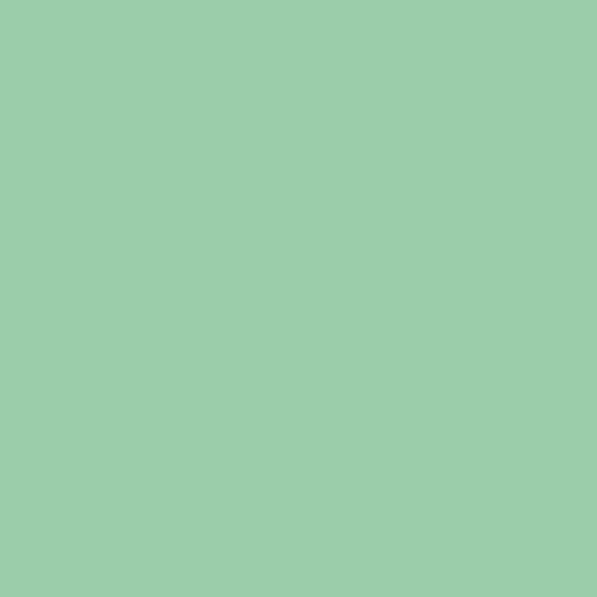 SilikonColor Baumit 5 l - odstín 1044 Baumit