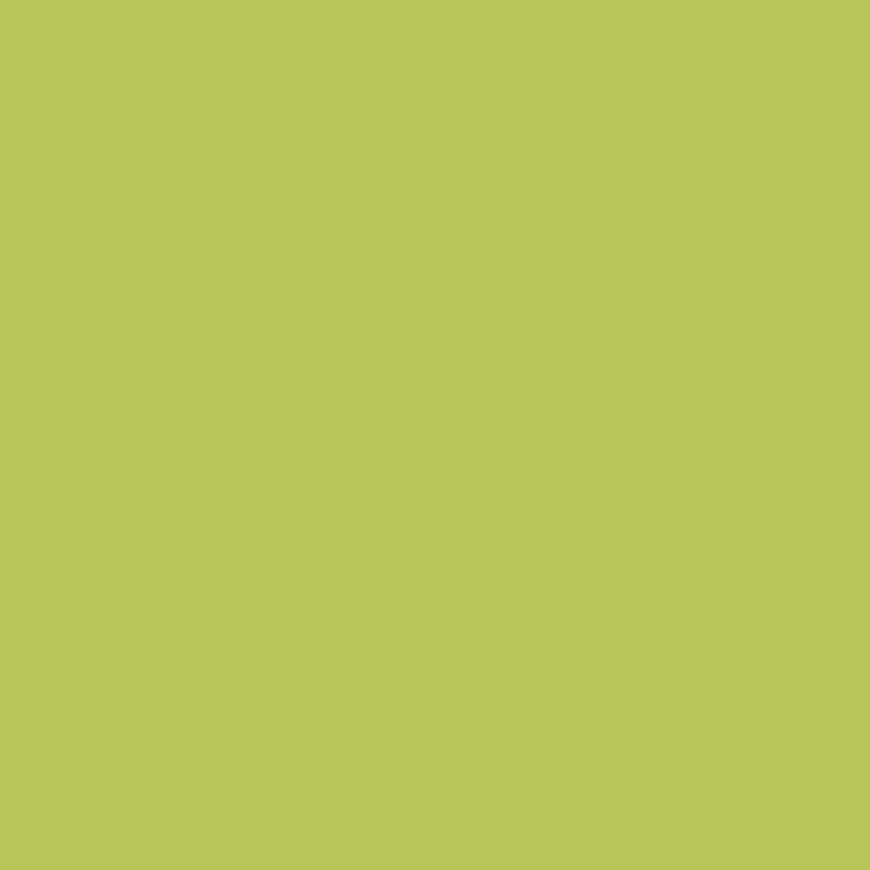 SilikonColor Baumit 5 l - odstín 1112 Baumit