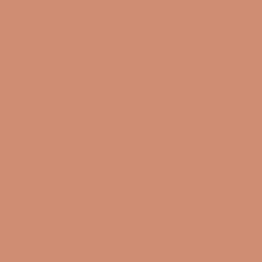 SilikonColor Baumit 5 l - odstín 0564 Baumit
