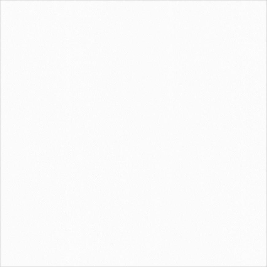 Monolook White Lappato 59