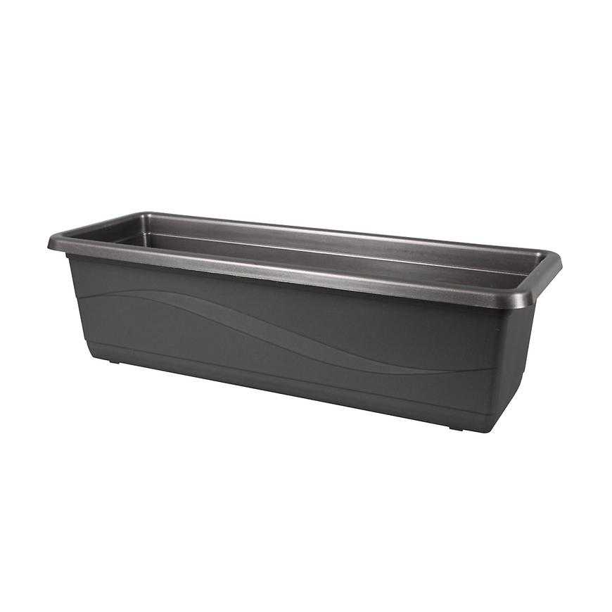 Truhlík lobelia š50cm; v14cm - antracit Baumax